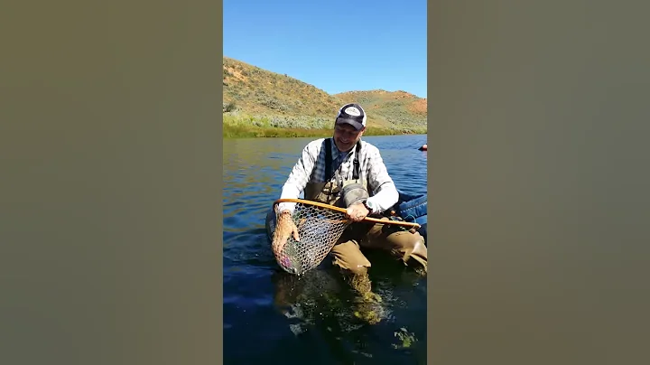 David Chidester 8lb Rainbow Trout