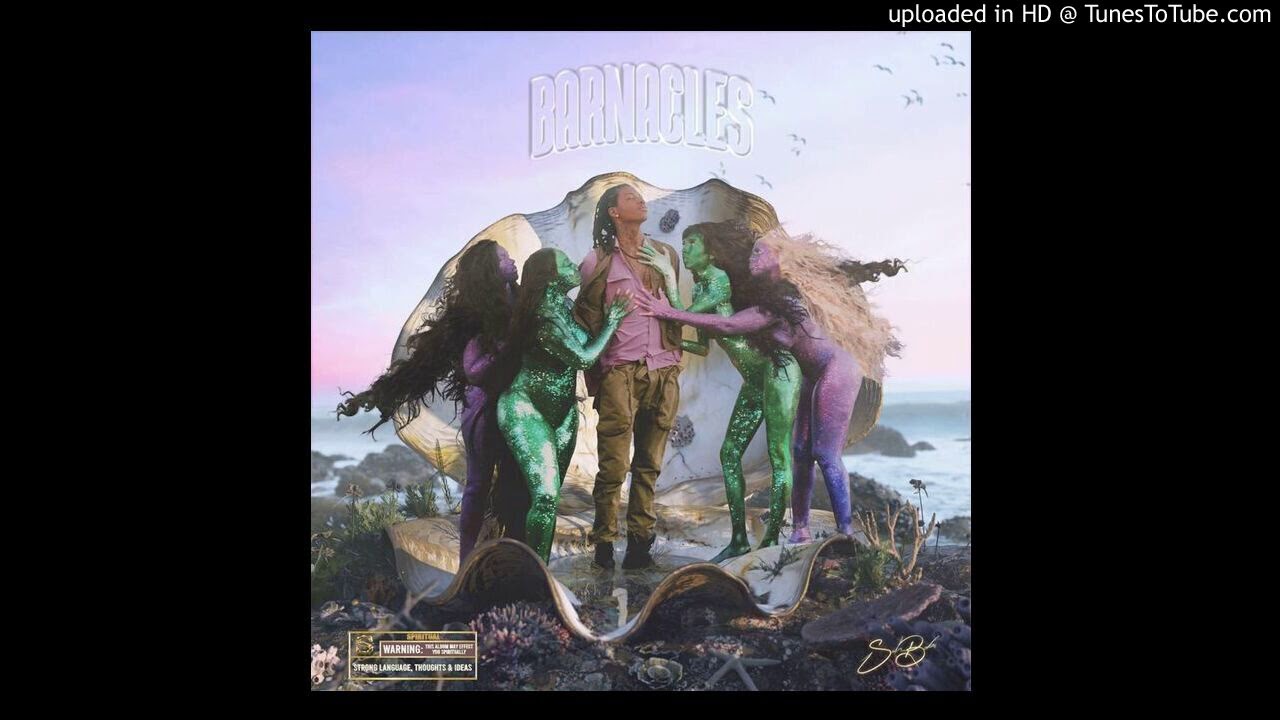 SahBabii - Barnacles (Instrumental)