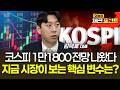 코스피 1만1800 전망 나왔다…지금 시장이 보는 핵심 변수는