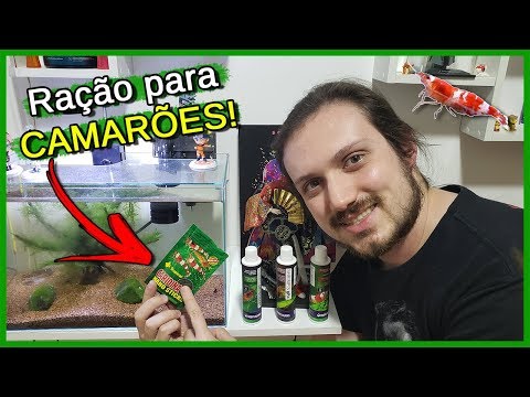 Como Alimentar seus