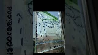 Experiência Ciclo da Água #shorts