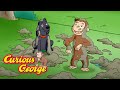 Curious George 🐵 George needs a shower 🐵 Kids Cartoon 🐵 Kids Movies 🐵 Videos for Kids