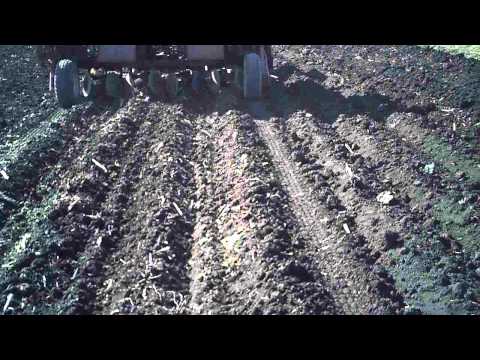Video: Plantarea și îngrijirea Cartofilor Folosind Un Tractor Cu Spate: Cum Să Plantezi Cartofi? Tehnologie De Prelucrare și Recoltare, Alegerea Unui Excavator De Cartofi Pentru Săpat
