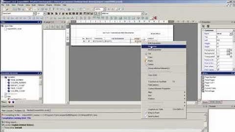 tutorial ireport01.mp4