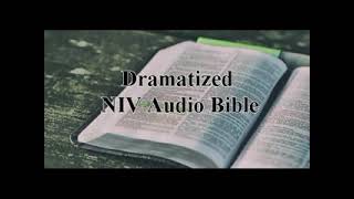 Dramatized NIV Audio Bible - Hebrews to Jude