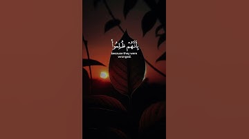 سورة الحج #quran #foryou