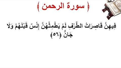 سورة  الرحمن الأية 56