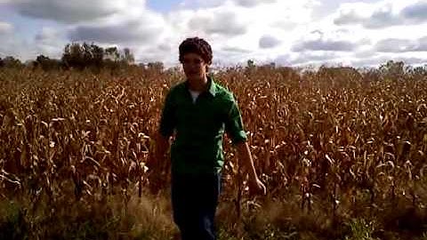 Fibonacci with RABBITS!!!!