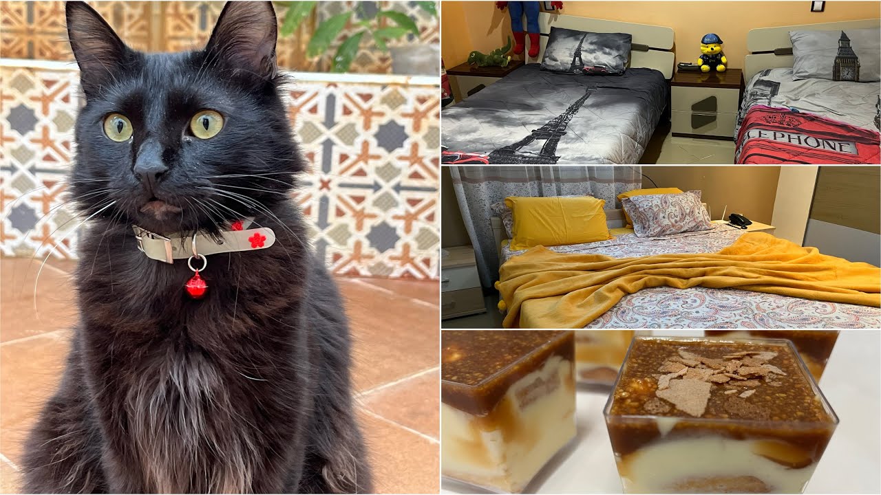 #روتين الاخير لاستقبال شهر رمضان من #تنظيف #طبخ و تحلية خاصة لمحبي القطط 😁