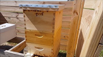 Migratory Telescoping Cover