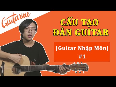 Video: Cấu Tạo đàn Ghita