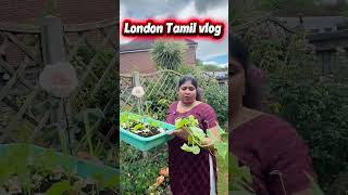 London Gardening englandthamizhachi londoners
