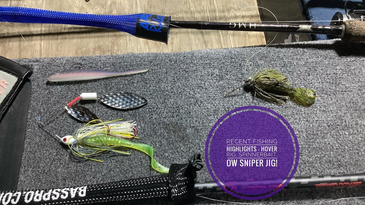 Recent Fishing Highlights - Hover Rig, Spinnerbait, OW Sniper Jig