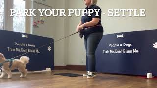 Park your Puppy - Settle by Victoria Cooper 104 views 1 year ago 1 minute, 2 seconds