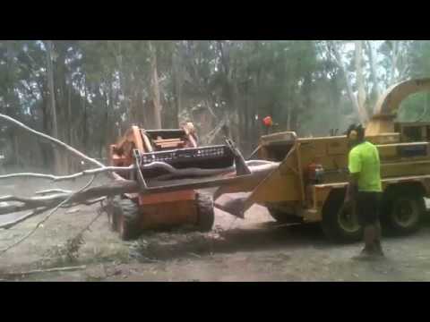 Angry Ant Tree Services - Chipper action - YouTube