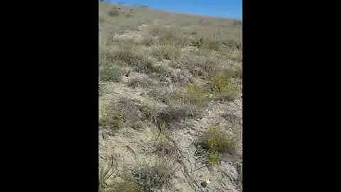 Sedimentary facies change