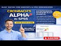 Reliability test: how to compute Cronbach's alpha using SPSS