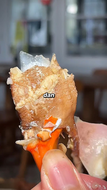 MUKBANG SEHARIAN di RESTO VIRAL EAST COAST PIK #kuliner #trending #makan #seafood #viral #kepiting