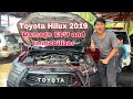 Toyota Hilux 2019 Back To Life Toyota Hilux 2019 Back To Life