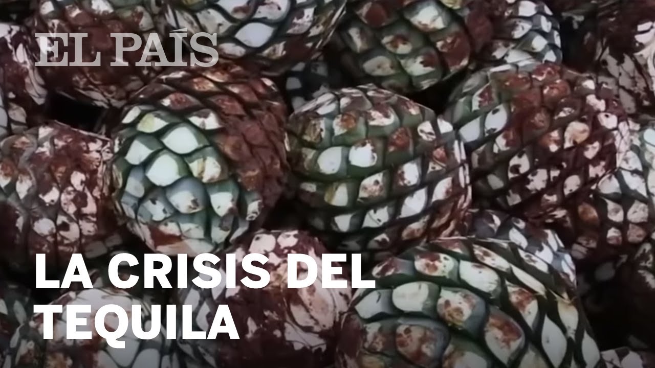 La crisis del tequila Internacional YouTube