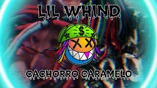 CACHORRO CARAMELO - Lil Whind feat. Matuêus MÚSICA OFICIAL COMPLETA