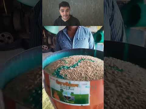 هاكذا يتم صبغ الفواكهة والنباتات والجباسة بصبغ الحائط