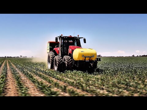 It’s like crack for corn 🌽 | Spreading fertiliser