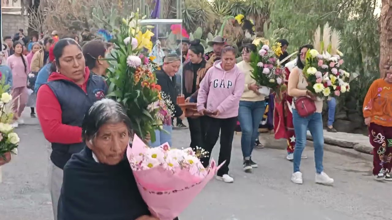 DECENARIO PURÍSIMA CONCEPCIÓN 