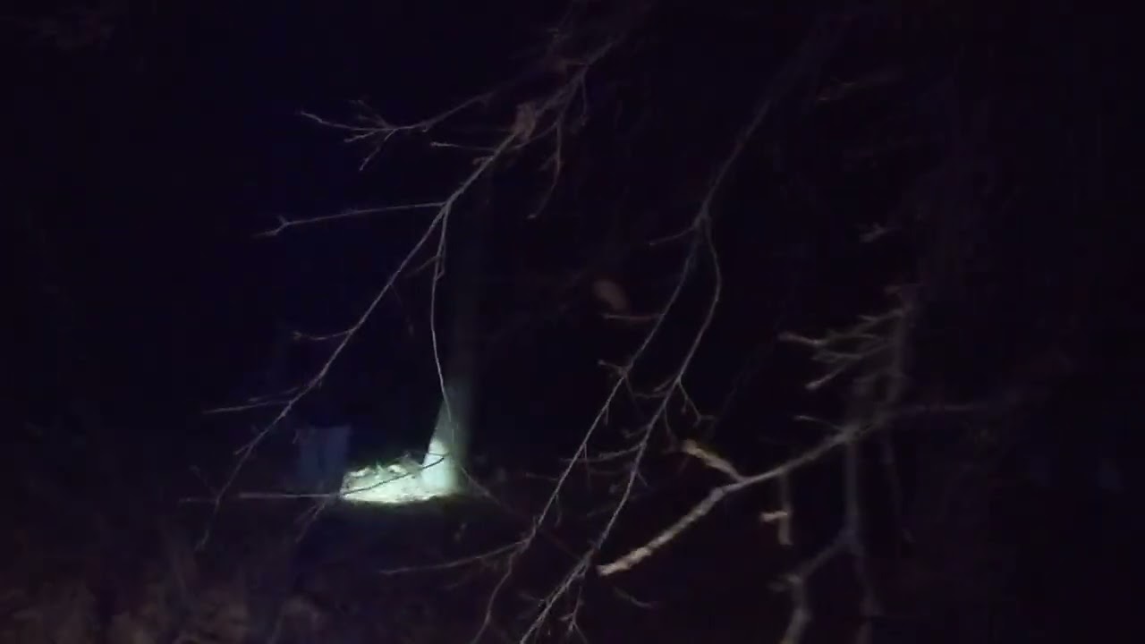 Fuimos alas montañas y nos perdimos nos cortaron unos coyotes