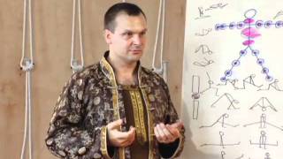Celebrity Universal Theory of Yoga: Asanas Wealth