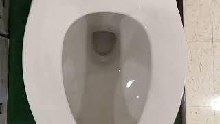 AS, Ove and Penguin Toilets on Display at Menard's