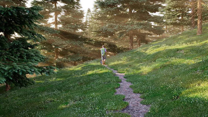 Forest Trail with V-Ray 6 and AvizStudioTools