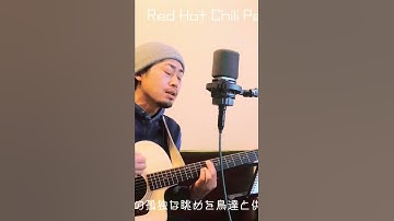 Thumbnail of Red Hot Chili Peppers/scar tissue/acoustic cover