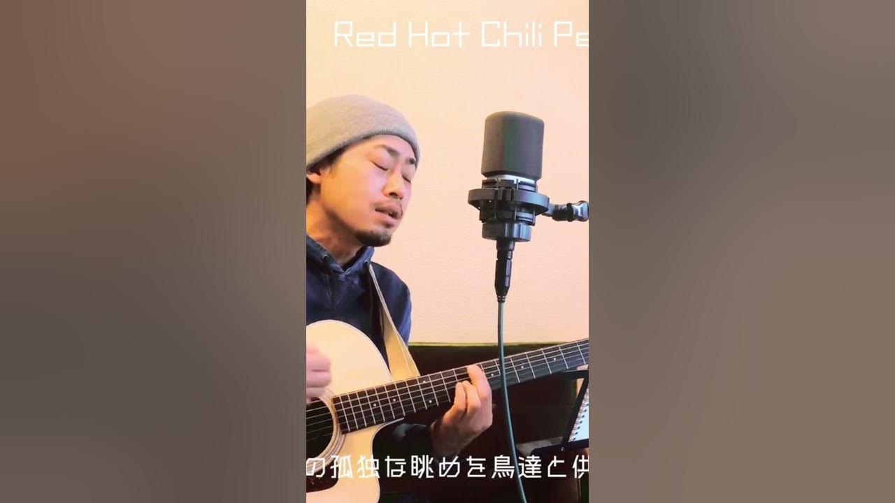 Red Hot Chili Peppers/scar tissue/acoustic cover