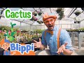 Learn Colors with Blippi - Watch Plants Grow! | Magic Stories and Adventures for Kids | Moonbug Kids