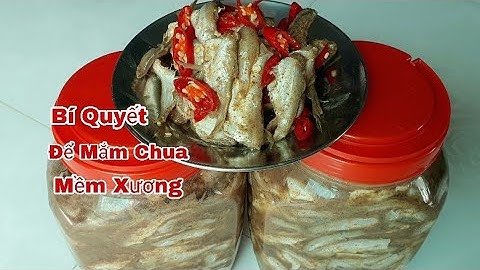 Cách Làm Mắm Chua Miền Tây - Đặc Biệt Mắm Cá Chua Mềm Xương Thơm Ngon Cho Ngày Tết | Thảo Phan Vlog