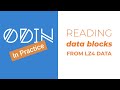 [Odin in Practice] Addendum to last video - Fixing our literal &amp; match output