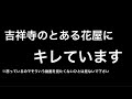 吉祥寺のとある花屋に宣戦布告します