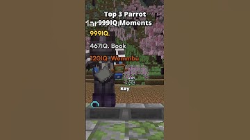 #fyp #minecraft #unstableuniverse