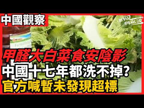 Formaldehyde-contaminated cabbage casts a shadow over food safety; can China shake it off after 1...