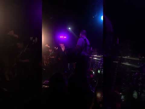 Punk music video thumbnail preview for Gogol Bordello - Break Into Your Higher Self