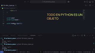 [S2/L07] Python: From the basics to the details - Everything in Python is an object
