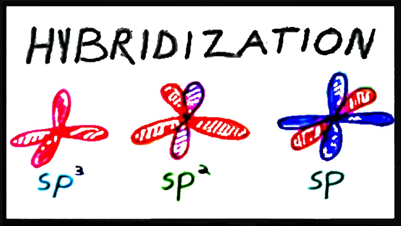 sp3, sp2, and sp Hybridization - YouTube