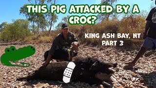 KING ASH BAY PAR 3- THIS BOAR ATTACKED BY A CROC?