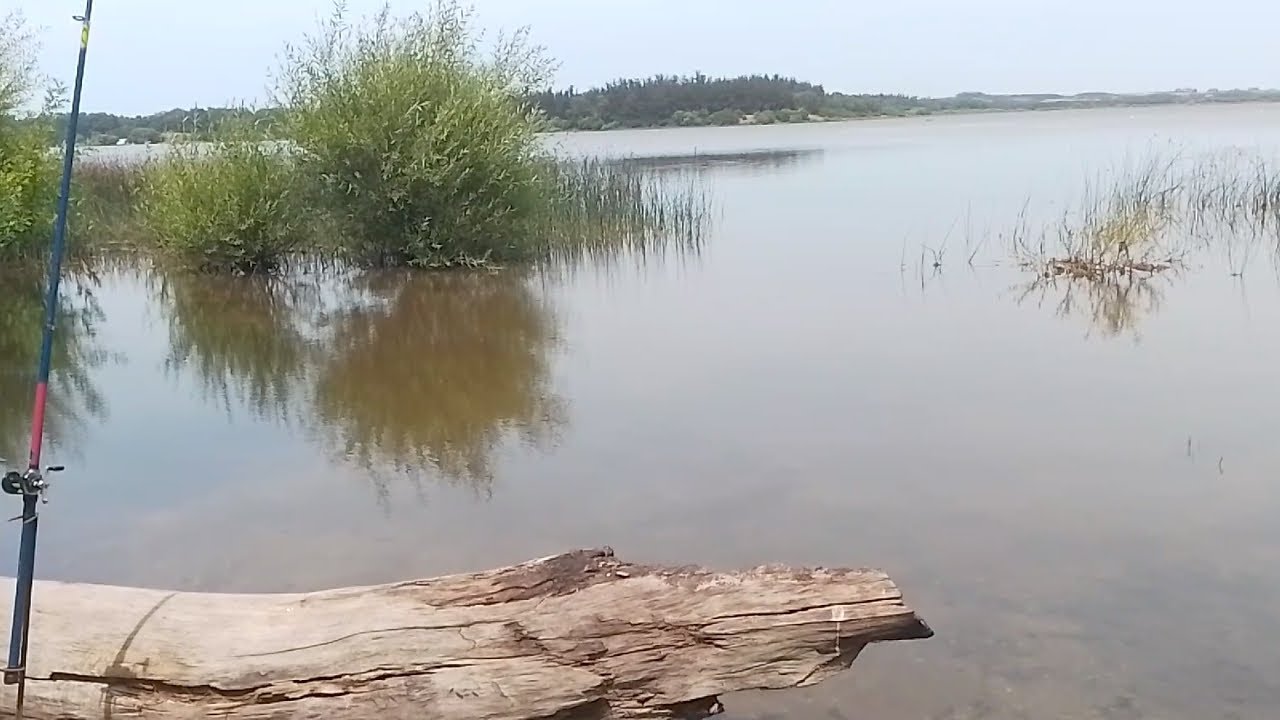 VIERNES (LAGUNA) 9 DE ENERO 2026.