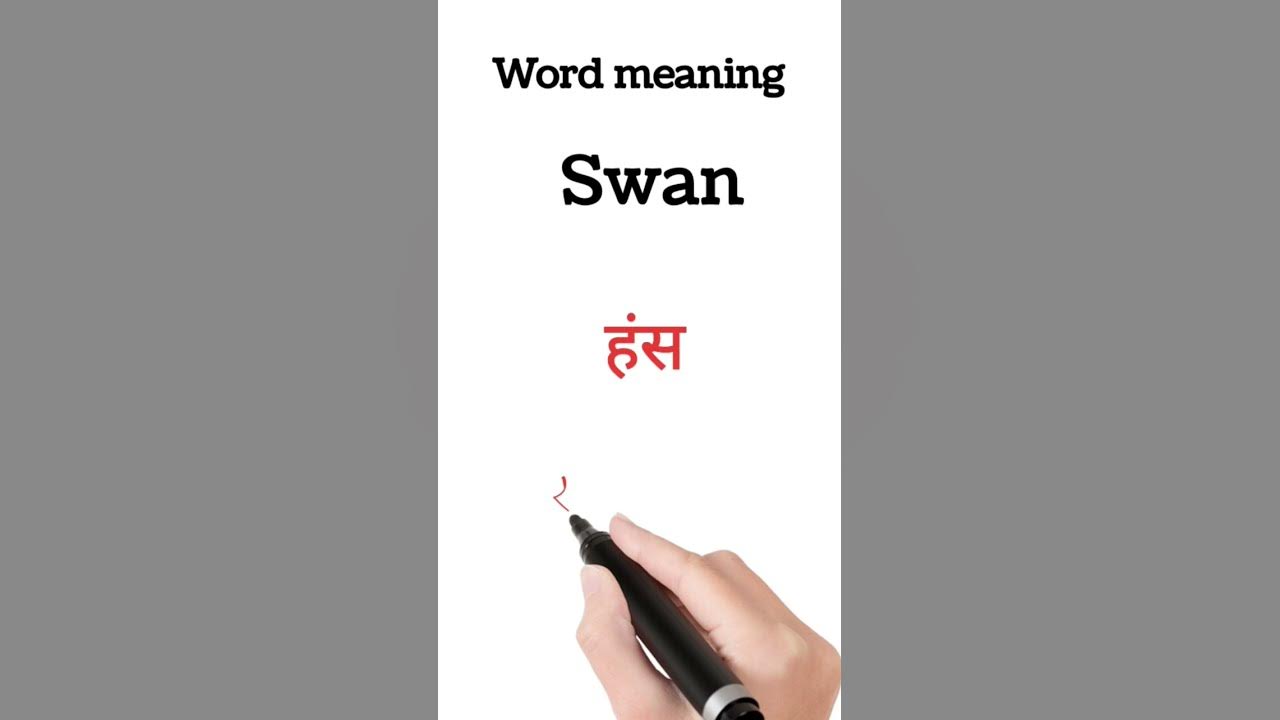 Swan Meaning In Hindi Swan Ko Hindi Mein Kya Kahte Hain english swan-meaning-in-hindi-swan-ko-hindi-mein-kya-kahte-hain-english