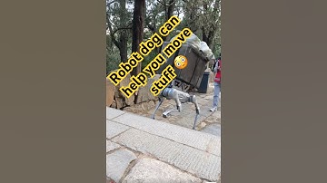 "Meet Robot dog Helper! Watch It Move Heavy Loads Like a Pro" #partnerrobot #viralvideo #china