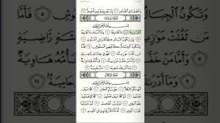 سورة القارعة ابو بكر الشاطري (صوت و صورة)