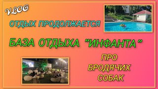 видео: 🌞Отдых продолжается/ Купаемся, загораем, готовим, кушаем, смотрим мультики/ Про бродячих собак/День5 картинка: 🌞Отдых продолжается/ Купаемся, загораем, готовим, кушаем, смотрим мультики/ Про бродячих собак/День5