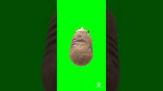 Funny time.البطاطس الجميلة بتسلم عليكوا shorts.king potato. ?